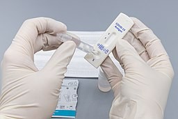 ANTIGEN COVID ANTIGEN COVID
