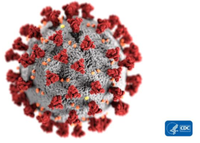 Sindromul respirator acut cu noul coronavirus (COVID-19)